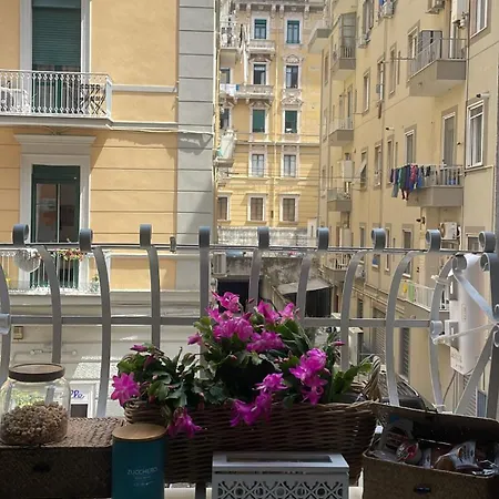 Elegant Lena * Salerno